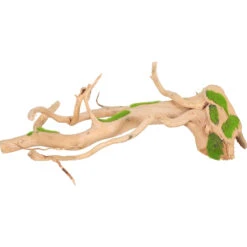 Zolux Racine Araignee Kipouss Pour Aquarium Taille S