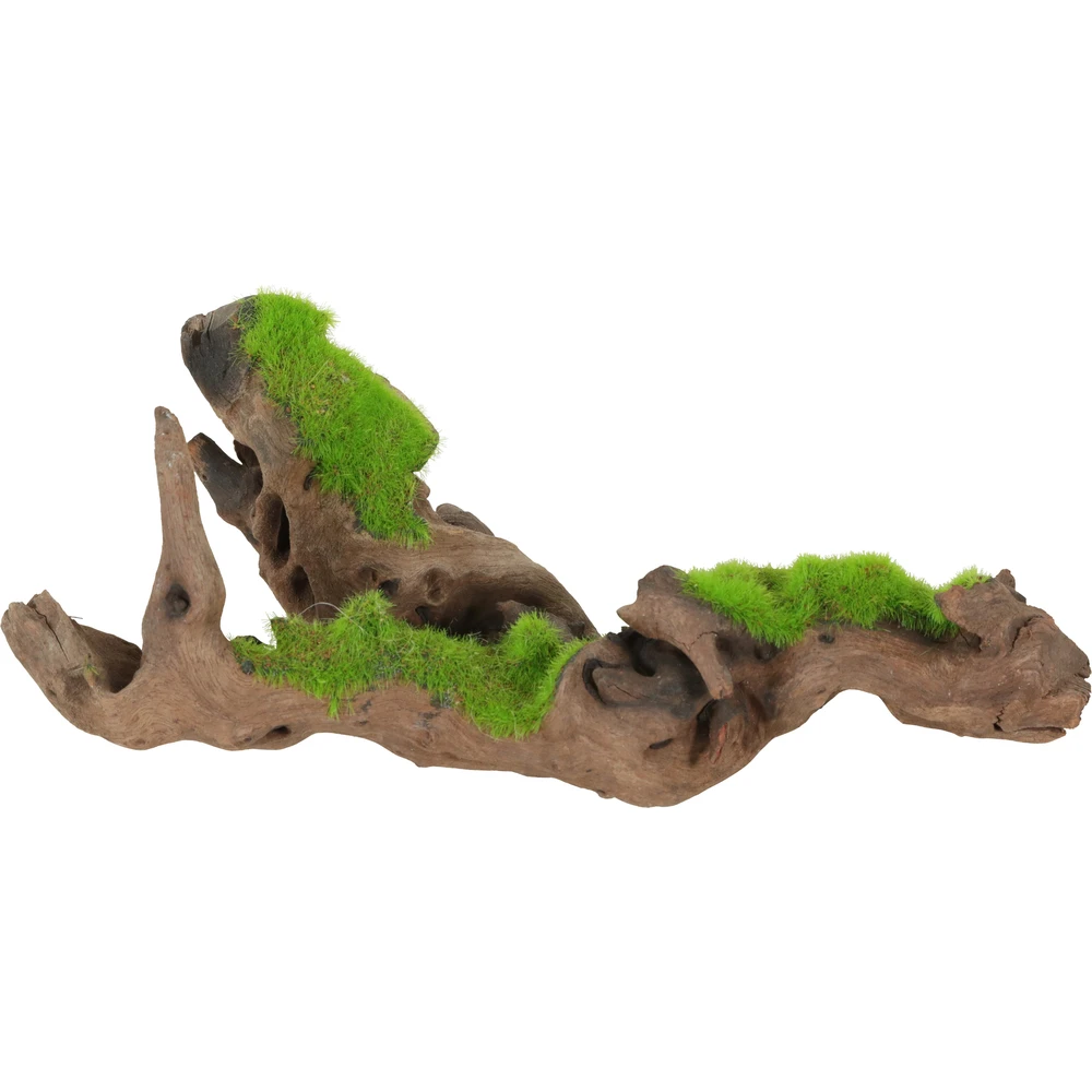 Zolux Racine De Malaisie Kipouss Pour Aquarium Taille S 1 Zolux Racine De Malaisie Kipouss Pour Aquarium Taille S