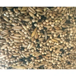 Zolux Graines Pour Canaris Sac De 800 G Pour Oiseaux