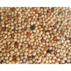 Zolux Graines Oiseaux Exotiques 800 G Pour Oiseaux -Zolux Animalia Promos Boutique 3336021391320 3