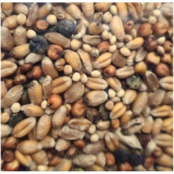 Zolux Graines Pour Tourterelle Sac De 800g Pour Oiseaux 5 Zolux Graines Pour Tourterelle Sac De 800g Pour Oiseaux -Zolux Animalia Promos Boutique 3336021391382 3