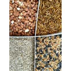 Zolux Mix Premium 4 Variétés Graines Et Vers De Farine, Seau De 2.5 Kg Pour Oiseaux -Zolux Animalia Promos Boutique 3336021710374 4