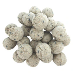 Zolux 25 Boules De Graisse De 90 Gr Donc 2.25 Kg Toutes Saisons Pour Oiseaux