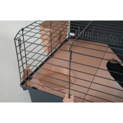 Zolux Cage Indoor2. 100 Rose. Pour Rongeur 103 X 63 X Hauteur 40 Cm.
