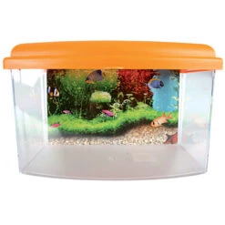 Zolux Aqua Travel Box II, Médium, Taille 28 X 20 X H 17 Cm, Pour Poisson Couleur Aléatoire -Zolux Animalia Promos Boutique 3336023030371 1