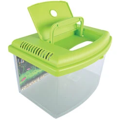 Zolux Aqua Travel Box II, Médium, Taille 28 X 20 X H 17 Cm, Pour Poisson Couleur Aléatoire