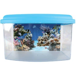Zolux Aqua Travel Box II, Small, Taille 22 X 16 X H 14 Cm Pour Poisson Couleur Aléatoire -Zolux Animalia Promos Boutique 3336023030371 5 1