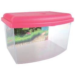 Zolux Aqua Travel Box II, Médium, Taille 28 X 20 X H 17 Cm, Pour Poisson Couleur Aléatoire -Zolux Animalia Promos Boutique 3336023030371 6