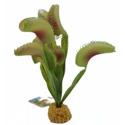 Zolux Plante Carnivore Artificielle, Décoration Aquarium, H 21 Cm -Zolux Animalia Promos Boutique 3336023521206 3