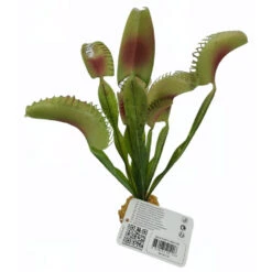 Zolux Plante Carnivore Artificielle, Décoration Aquarium, H 21 Cm -Zolux Animalia Promos Boutique 3336023521206 5