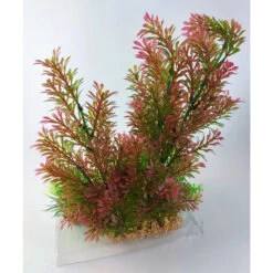 Zolux Déco Plantkit Idro N°1. Plantes Artificielles. 7 Pieces. H 36 Cm. Décoration D'aquarium. -Zolux Animalia Promos Boutique 3336023521503 4
