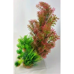 Zolux Déco Plantkit Idro N°1. Plantes Artificielles. 7 Pieces. H 36 Cm. Décoration D'aquarium. -Zolux Animalia Promos Boutique 3336023521503 5