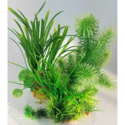 Zolux Déco Plantkit Idro N°3 Plantes Artificielles 6 Pieces H 28 Cm Décoration D'aquarium -Zolux Animalia Promos Boutique 3336023521527 4