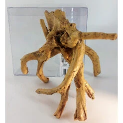 Zolux Décor. Kit Idro Racine N° 1 Dimension 13.5 X 13.5 X Hauteur 13 Cm Pour Aquarium 11 Zolux Décor. Kit Idro Racine N° 1 Dimension 13.5 X 13.5 X Hauteur 13 Cm Pour Aquarium -Zolux Animalia Promos Boutique 3336023521664 5