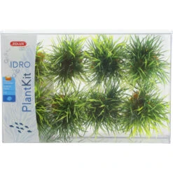 Zolux 8 Petits Buissons Déco Plant Kit Idro Hauteur 3 Cm ø 3.5 Cm Pour Aquarium -Zolux Animalia Promos Boutique 3336023521701 1