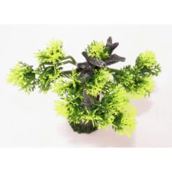 Zolux Décoration Africa Baobab Taille S. Aquarium. -Zolux Animalia Promos Boutique 3336023522197 3