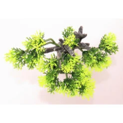 Zolux Décoration Africa Baobab Taille S. Aquarium. -Zolux Animalia Promos Boutique 3336023522197 5