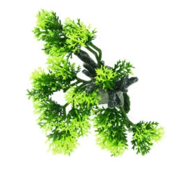 Zolux Décoration Africa Baobab Taille S. Aquarium. -Zolux Animalia Promos Boutique 3336023522197 7