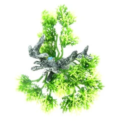 Zolux Décoration Africa Baobab Taille M. Aquarium. -Zolux Animalia Promos Boutique 3336023522203 3