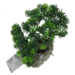 Zolux Diffuseur Bouddha Bonzaï 14,5 X 12 X 20 Cm, Décoration Aquarium -Zolux Animalia Promos Boutique 3336023538303 4