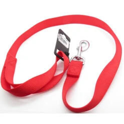 Zolux Laisse Nylon 1 M X 25 Mm Rouge Pour Chien -Zolux Animalia Promos Boutique 3336024636251 3
