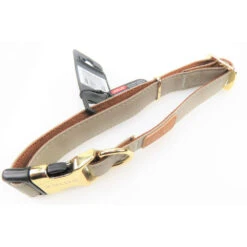 Zolux Collier IMAO MAYFAIR. 25 Mm. Réglable. Couleur Taupe. Pour Chien. -Zolux Animalia Promos Boutique 3336024667705 4