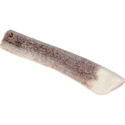 Zolux Bâton à Mâcher En Bois De Cerf Biseauté Puppy, Environ 15 Cm, Pour Chiot. -Zolux Animalia Promos Boutique 3336024823156 6