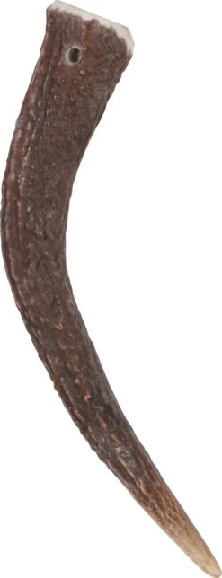 Zolux Bâton à Mâcher Bois De Cerf Entier Hard, Environ 15 Cm, Pour Chien - De 15 Kg