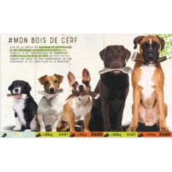 Zolux Bâton à Mâcher Bois De Cerf Entier Hard, Environ 15 Cm, Pour Chien - De 15 Kg -Zolux Animalia Promos Boutique 3336024823170 7