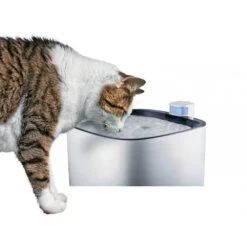 Zolux Fontaine Silencieuse IGUAZU. 3 Litres. Pour Chats Et Petits Chiens. Port USB.