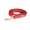 Zolux Laisse IMAO MAYFAIR 15 Mm X 1.2 Mètre Rouge Pour Chien.