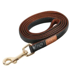 Zolux Laisse IMAO MAYFAIR 15 Mm X 1.2 Mètre Couleur Noir Pour Chien.