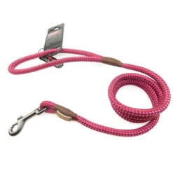 Zolux Laisse IMAO Hyde Park. ø 9 Mm X 1,2 Mètre. Fuchsia . Pour Chien.