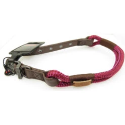 Zolux Collier IMAO 50 Cm X 9 Mm Hyde Park Fuchsia Pour Chien -Zolux Animalia Promos Boutique 3336027667788 4