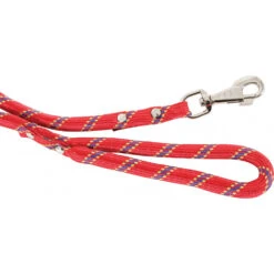 Zolux Laisse En Nylon Corde ø 13 Mm X 3 Mètres Rouge Pour Chien