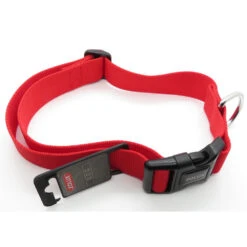 Zolux Collier Nylon 50 - 80 Cm X 40 Mm Rouge Pour Chien. 7 Zolux Collier Nylon 50 - 80 Cm X 40 Mm Rouge Pour Chien. -Zolux Animalia Promos Boutique 3660167001349 3