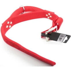 Zolux Collier Avec Poignée T 60 Cm. Rouge Pour Chien. -Zolux Animalia Promos Boutique 3660167007440 3
