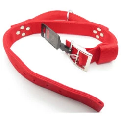 Zolux Collier Avec Poignée T 65cm . Rouge Pour Chien. -Zolux Animalia Promos Boutique 3660167007464 3