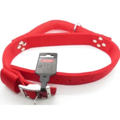 Zolux Collier Avec Poignée T 70 Cm. Rouge Pour Chien. -Zolux Animalia Promos Boutique 3660167007488 3