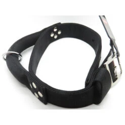Zolux Collier Avec Poignée T 70cm . Noir Pour Chien. -Zolux Animalia Promos Boutique 3660167007495 4