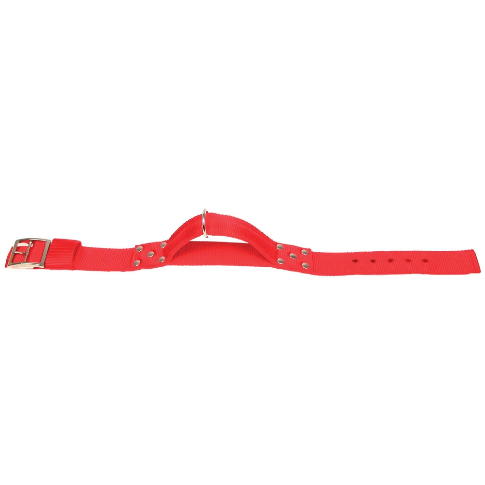 Zolux Collier Avec Poignée T 75 Cm. Rouge Pour Chien. 1 Zolux Collier Avec Poignée T 75 Cm. Rouge Pour Chien.