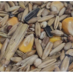 Zolux Aliment Composé Mélange Pour Poules Pondeuses 4 Kg Basse Cour -Zolux Animalia Promos Boutique 3701451008054 2 1