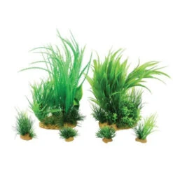 Zolux Kit De 6 Plantes Artificielles Jalaya N1 - Pour Aquarium -Zolux Animalia Promos Boutique 63cbbb4adc2445.45339012