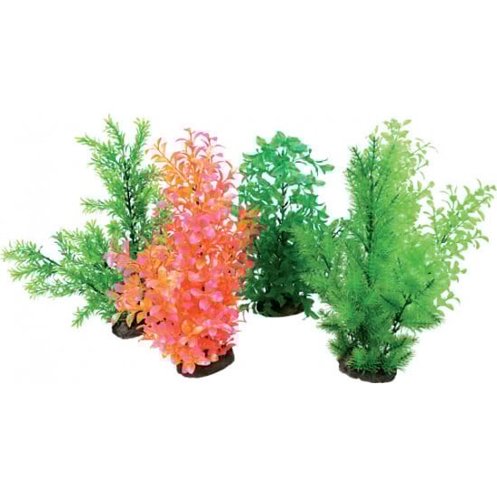 Zolux Animalia Promos Boutique -Zolux Animalia Promos Boutique aeroplant dif vert xl panache 1