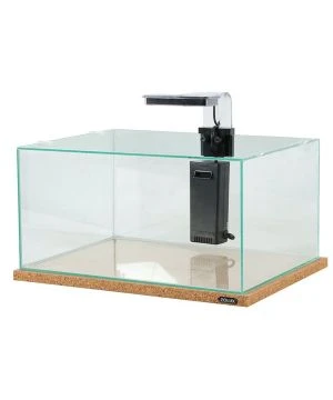 Betta Rek Noir 1 Betta Rek Noir