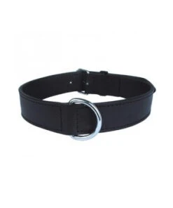 /COLLIER CUIR DBL 75 CM NOIR