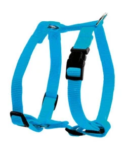 HARNAIS NYLON REG 40MM BLEUQUOISE