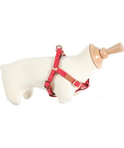 Harnais Reg Imao Mayf 25Mm Rg