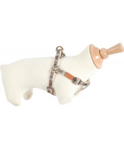 Harnais Reg Imao Taiga 20Mm Cho