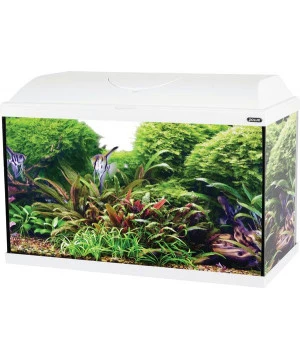 Kit Aqua Iseo 60 Led Blanc Zolux 1 Kit Aqua Iseo 60 Led Blanc Zolux